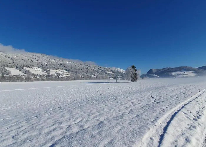 アパート 71 アルテンマルクト・イム・ポンガウ